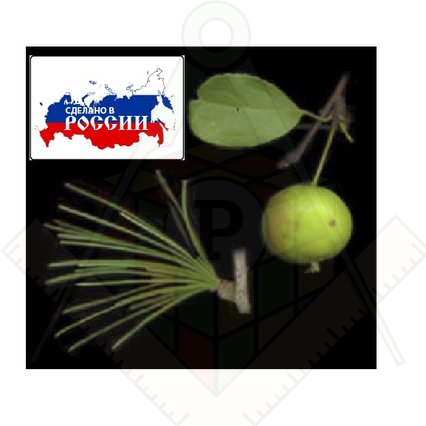 98285699_23 апреля 2024 г.