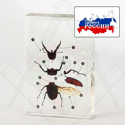 98285648_23 апреля 2024 г.