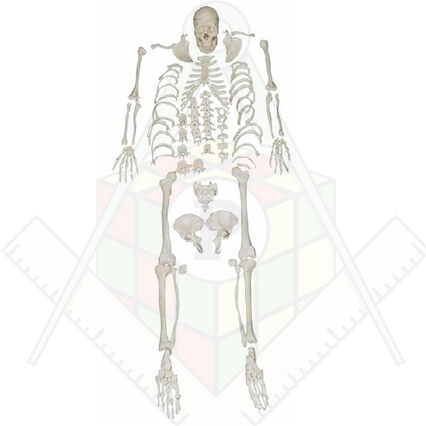 98285652_23 апреля 2024 г.