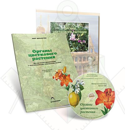 Картинка_2023-04-13_Электронное наглядное пособие«Органы цветкового растения»