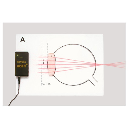 98285756_23 апреля 2024 г.