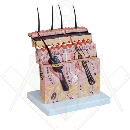 98285676_23 апреля 2024 г.