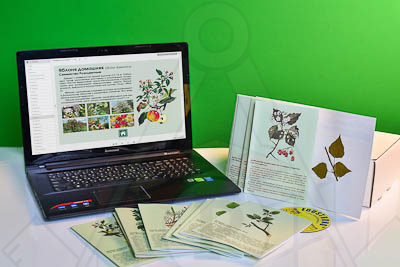 Гербарий натурально-интерактивный Деревья и кустарники