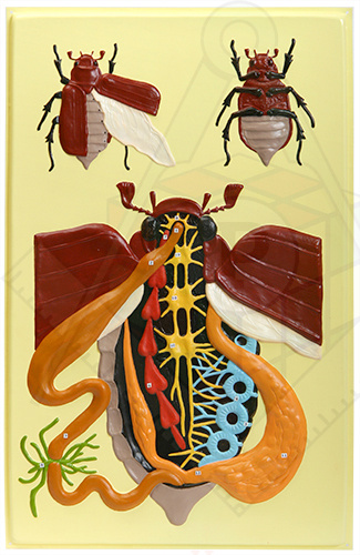 c6eb86d19c620f64b9cd245cb6d08e35