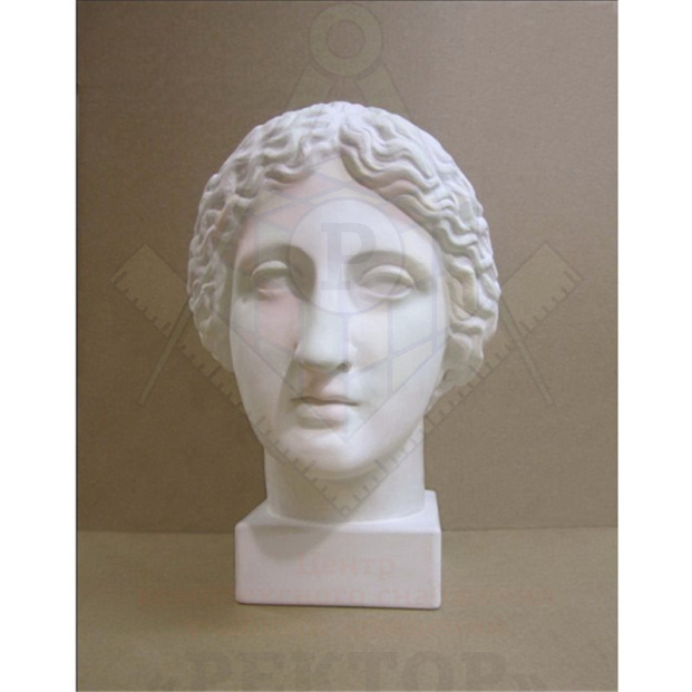 голова афродиты