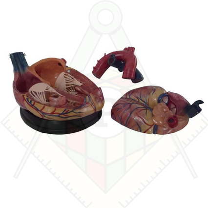 98285661_23 апреля 2024 г.