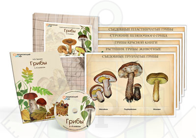 Комб нагл посоьие Грибы