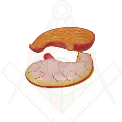 98285658_23 апреля 2024 г.