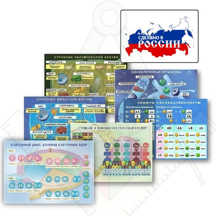 98285700_23 апреля 2024 г.