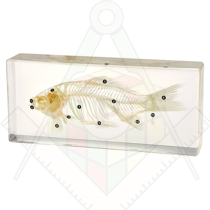 98285668_23 апреля 2024 г.