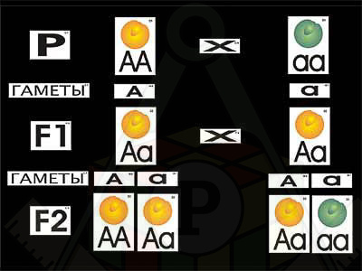4535