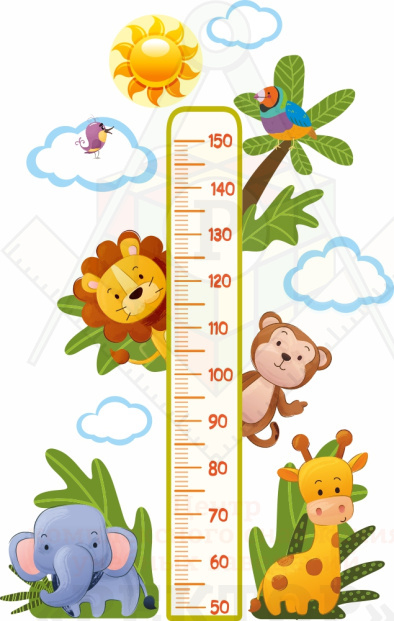 ИН_2370_ростомер_джунгли-ЧЕ