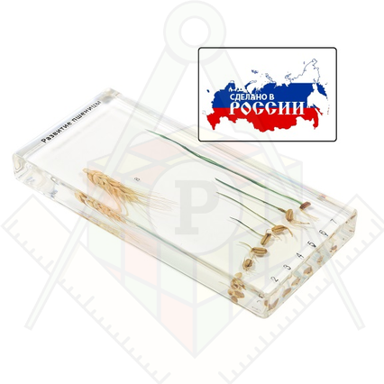 98285040_23 апреля 2024 г.