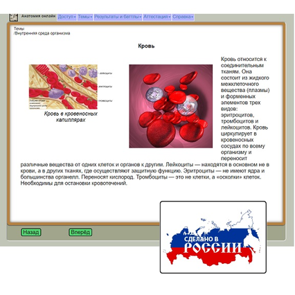 98285698_23 апреля 2024 г.