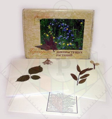 Дикорастущие