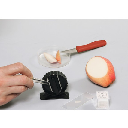 98285716_23 апреля 2024 г.