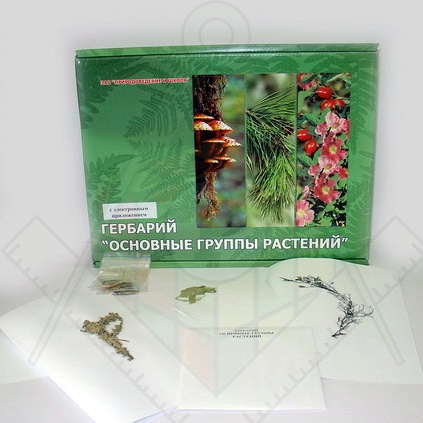 группы растений 52 л