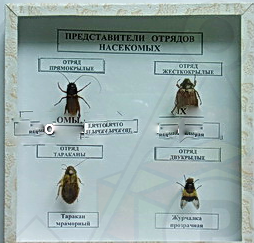 насек