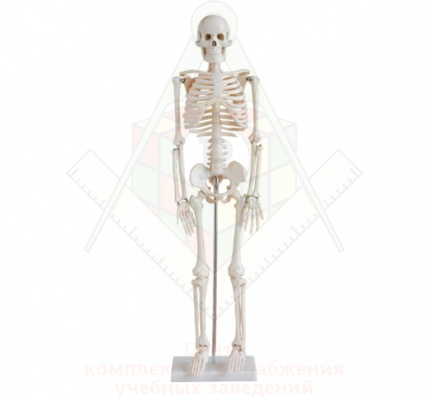 33978f2682b77ede6dc0059f53154211