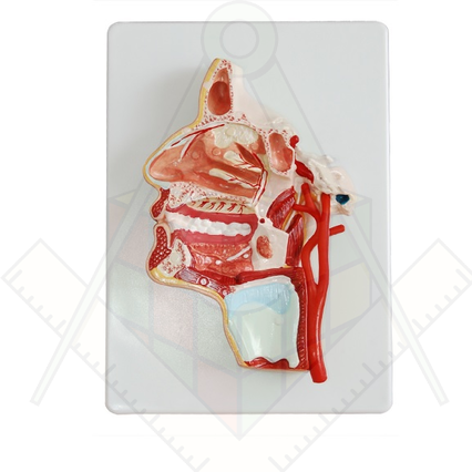 98285679_23 апреля 2024 г.