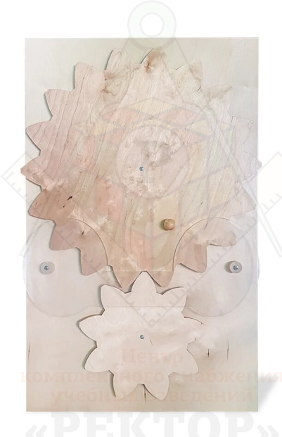 Настенный модуль «Вращательные движения»