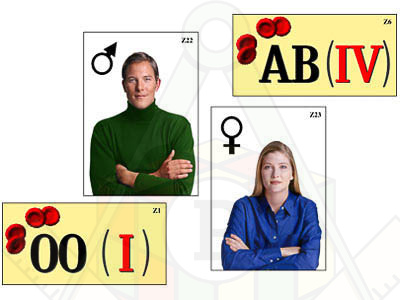 4533