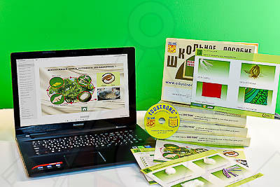 коллекция эд