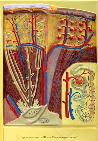 8c4282eb250d2ed2f7431f7ab6aa3b54