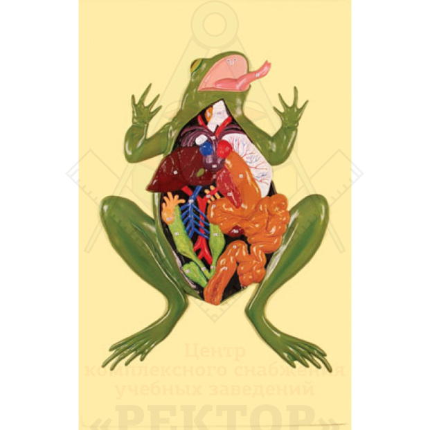 ge-catalog-modelibarelefnyeb-10570-700x700