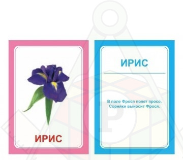 Картинка