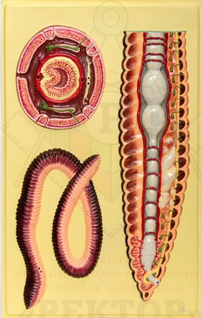 63e8e6d02945fd72a03a35d49fef2f97