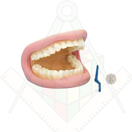 98285054_23 апреля 2024 г.