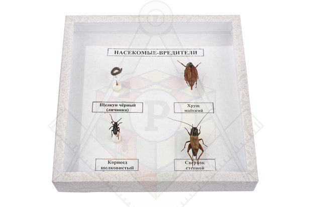 35c8bd908266be6a68b334bf07445ea2