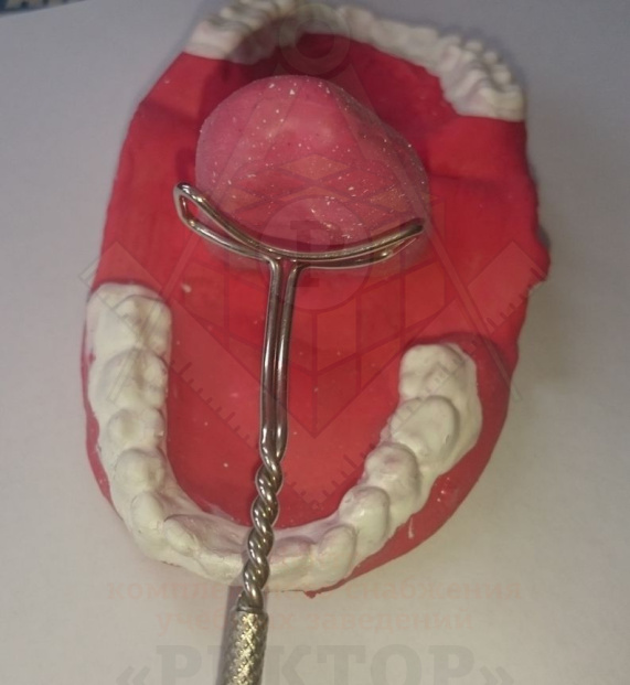 поднятия языка