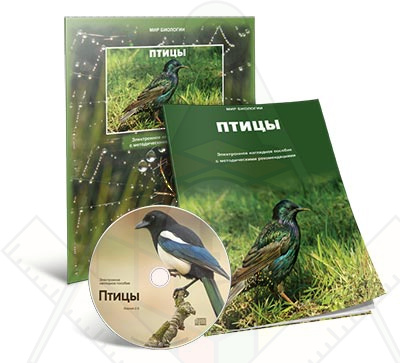 Картинка_2023-04-13_Электронное наглядное пособие«Птицы»