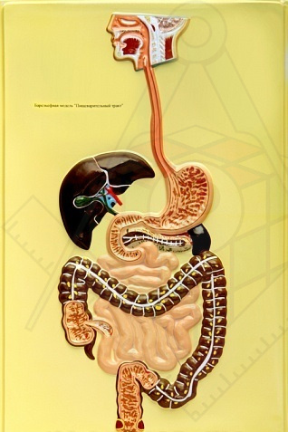 5af48eec20bcf588f7c215c022b995fc