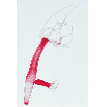 98285714_23 апреля 2024 г.