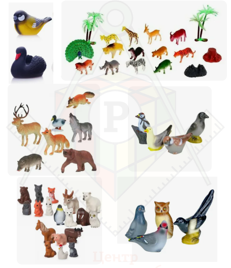 животные и птицы