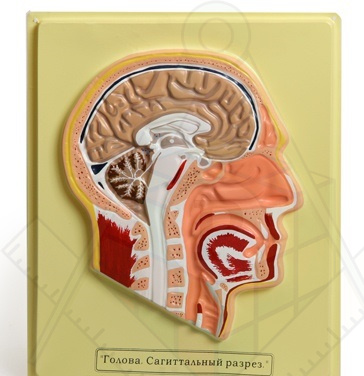 35450ebf0e4a958bfa95aa15d62b7eb7