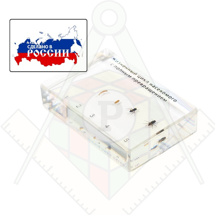 98285695_23 апреля 2024 г.