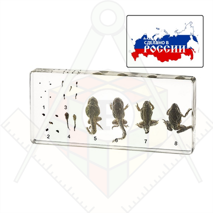 98285666_23 апреля 2024 г.