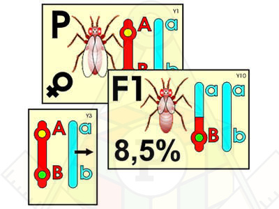 4972