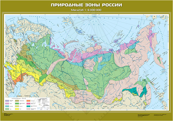 98267530