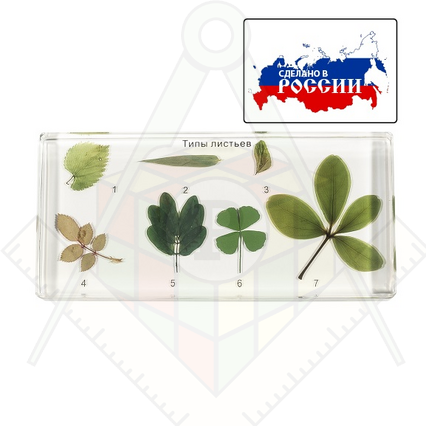 98285024_23 апреля 2024 г.