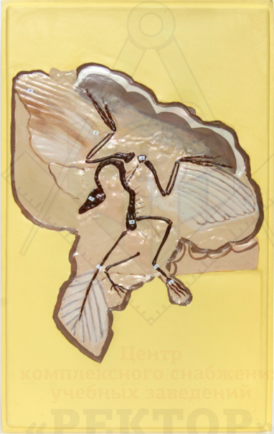 83cd70c6d3e6485d670c27bf10b3b4b3