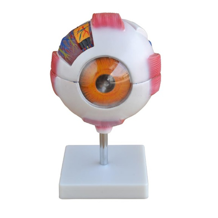 98285665_23 апреля 2024 г.