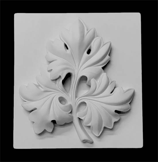 ветка винограда