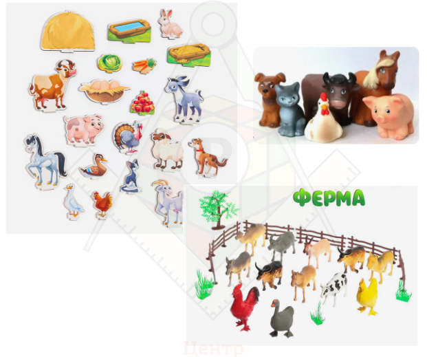 домашние животные