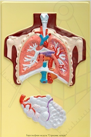 4b30e510a27dfefeee2f9e02f731af31