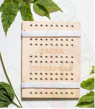 папка гербарная